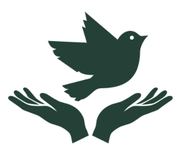 10% Discount for early birds 10% Discount for early birds